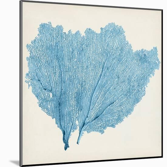 Sea Fan IV-Vision Studio-Mounted Art Print