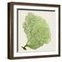 Sea Fan IX-Vision Studio-Framed Art Print