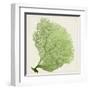 Sea Fan IX-Vision Studio-Framed Art Print