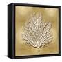 Sea Fan on Gold I-Caroline Kelly-Framed Stretched Canvas