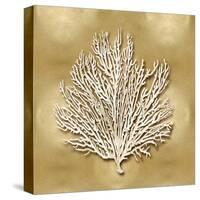 Sea Fan on Gold I-Caroline Kelly-Stretched Canvas