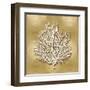 Sea Fan on Gold I-Caroline Kelly-Framed Art Print