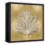 Sea Fan on Gold I-Caroline Kelly-Framed Stretched Canvas