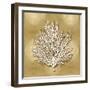 Sea Fan on Gold I-Caroline Kelly-Framed Art Print