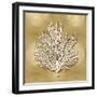 Sea Fan on Gold I-Caroline Kelly-Framed Art Print