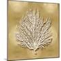 Sea Fan on Gold I-Caroline Kelly-Mounted Art Print