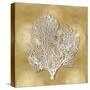 Sea Fan on Gold II-Caroline Kelly-Stretched Canvas