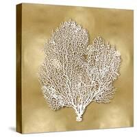 Sea Fan on Gold II-Caroline Kelly-Stretched Canvas