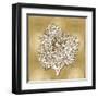 Sea Fan on Gold II-Caroline Kelly-Framed Art Print