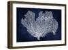Sea Fan on Indigo Blue I-Melonie Miller-Framed Art Print