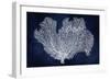 Sea Fan on Indigo Blue I-Melonie Miller-Framed Art Print