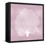 Sea Fan on Pink Blush II-Melonie Miller-Framed Stretched Canvas