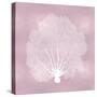 Sea Fan on Pink Blush II-Melonie Miller-Stretched Canvas