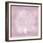 Sea Fan on Pink Blush II-Melonie Miller-Framed Art Print