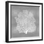 Sea Fan on Silver III-Melonie Miller-Framed Art Print