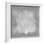 Sea Fan on Silver III-Melonie Miller-Framed Art Print