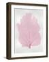 Sea Fan Pink Blush I-Melonie Miller-Framed Art Print