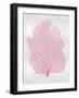 Sea Fan Pink Blush I-Melonie Miller-Framed Art Print