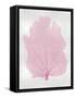 Sea Fan Pink Blush I-Melonie Miller-Framed Stretched Canvas