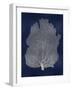 Sea Fan Silver on Blue I-Melonie Miller-Framed Art Print