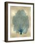 Sea Fan Teal on Gold II-Melonie Miller-Framed Art Print