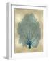Sea Fan Teal on Gold II-Melonie Miller-Framed Art Print