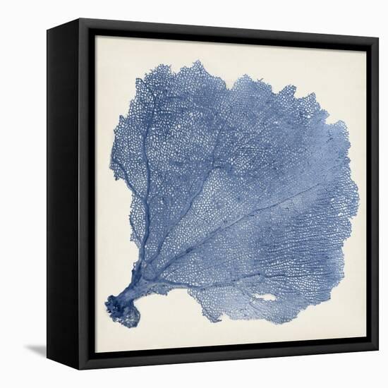 Sea Fan V-Vision Studio-Framed Stretched Canvas