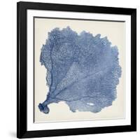 Sea Fan V-Vision Studio-Framed Art Print