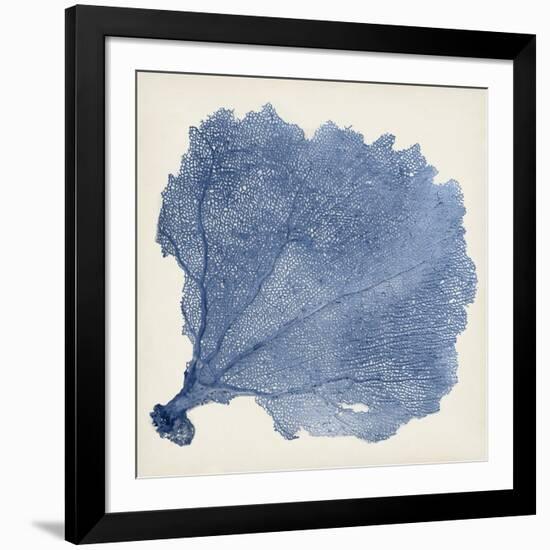 Sea Fan V-Vision Studio-Framed Art Print