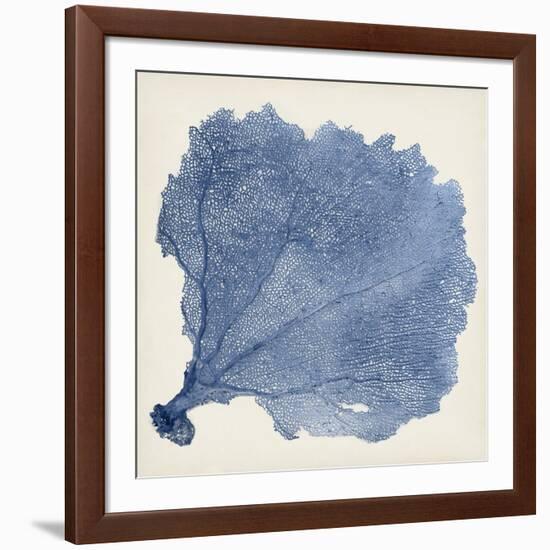 Sea Fan V-Vision Studio-Framed Art Print