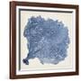 Sea Fan V-Vision Studio-Framed Art Print