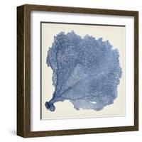 Sea Fan V-Vision Studio-Framed Art Print