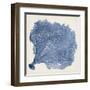 Sea Fan V-Vision Studio-Framed Art Print