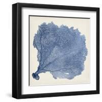 Sea Fan V-Vision Studio-Framed Art Print