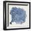 Sea Fan V-Vision Studio-Framed Art Print