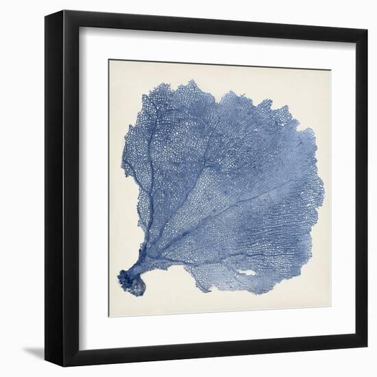 Sea Fan V-Vision Studio-Framed Art Print