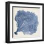 Sea Fan V-Vision Studio-Framed Art Print