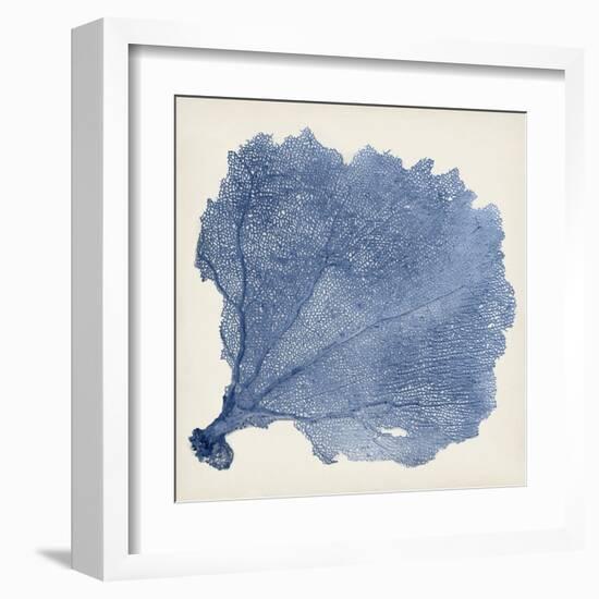 Sea Fan V-Vision Studio-Framed Art Print