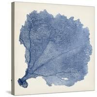 Sea Fan V-Vision Studio-Stretched Canvas