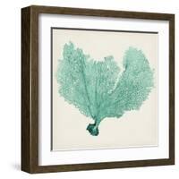 Sea Fan VI-Vision Studio-Framed Art Print