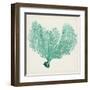 Sea Fan VI-Vision Studio-Framed Art Print