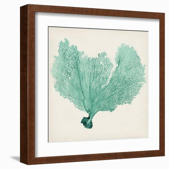 Sea Fan VI-Vision Studio-Framed Art Print