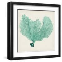 Sea Fan VI-Vision Studio-Framed Art Print