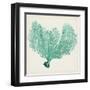 Sea Fan VI-Vision Studio-Framed Art Print