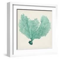 Sea Fan VI-Vision Studio-Framed Art Print