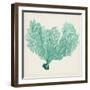 Sea Fan VI-Vision Studio-Framed Art Print