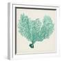 Sea Fan VI-Vision Studio-Framed Art Print