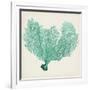 Sea Fan VI-Vision Studio-Framed Art Print