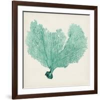 Sea Fan VI-Vision Studio-Framed Art Print