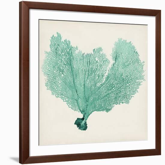 Sea Fan VI-Vision Studio-Framed Art Print